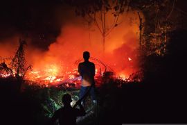 BNPB: Petugas padamkan api karhutla yang kembali menyala di Kaltara