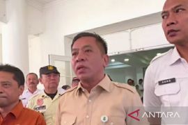 Ribuan pencari kerja serbu Job Fair 2026 online Pemkab Karawang