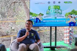 Akademisi: Kerusakan ekosistem mangrove ancam biota laut