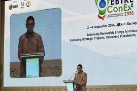 Govt accelerates renewable energy development amid global turmoil