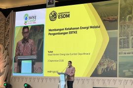 Pemerintah dorong pengembangan EBT di tengah gejolak geopolitik