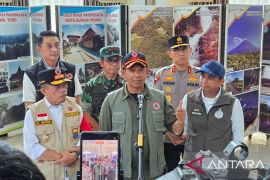 Kepala BNPB pastikan titik api di Jambi terus berkurang