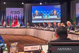 RI tegaskan strategi reformasi pro-pertumbuhan dalam G20 FMCBG di AS