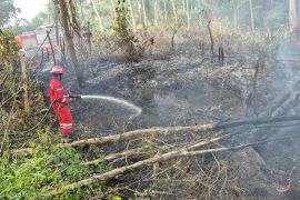 PHR Zona 4 padamkan 113 titik karhutla di Sumsel