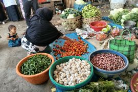 Mataram pastikan stok komoditas pertanian aman selama musim kemarau