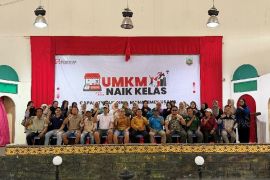 Perkuat kapasitas UMKM, dorong pengembangan usaha berkelanjutan di Kotabaru