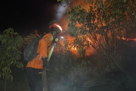Basarnas bantu penanganan kebakaran hutan dan lahan di Kabupaten Donggala