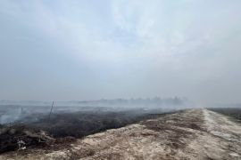 Pria 76 tahun jadi tersangka garap lahan di Suaka Margasatwa Giam Siak Kecil