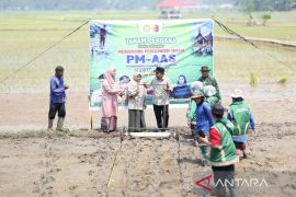 Pemkot Solok terapkan pertanian modern tingkatkan produktivitas