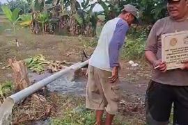 Banyumas mengandalkan pompa air jaga produksi padi saat kekeringan