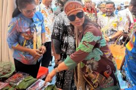 Wamenpar minta promosi FDS di Papua digencarkan hingga ke Bali