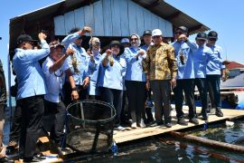 Komisi IV DPR mendukung penguatan ekosistem budidaya lobster di Lombok