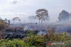 Dinas Kesehatan Aceh Barat siagakan Puskesmas hadapi dampak Karhutla