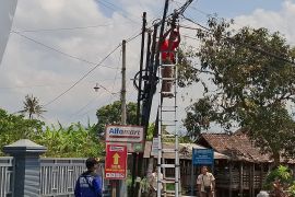 Satpol PP Tulungagung tertibkan kabel fiber optik tanpa izin