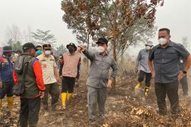 Gubernur Kalbar sebut lahan sengaja dibakar untuk buka pertanian