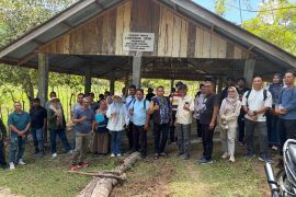 Pemkab Aceh Besar kembangkan sapi Aceh di pulau terluar