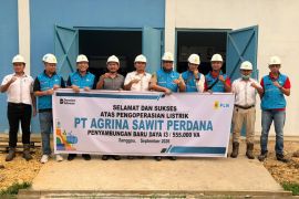 PLN perkuat dukungan listrik bagi industri sawit di sanggau