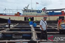 Belitung jajaki ekspor ikan kerapu ke negara Arab dan Eropa
