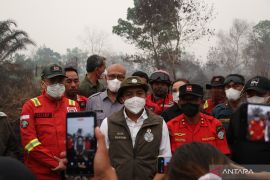 Menhut tutup izin lima perusahaan di Kalbar terkait karhutla