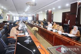 Pemprov perkuat Forum Energi Maluku dukung PRKBI