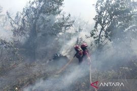 BPBD: Luas lahan terbakar di Batang Hari capai 479,48 hektare