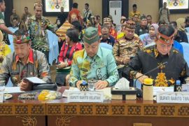 Pemkab Barito Selatan kerahkan tim gabungan tangani karhutla