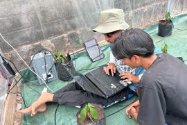 Jawab tantangan pertanian kopi, PPK Ormawa HMP PTI UMS hadirkan Greenhouse Smart Farming Berbasis IoT