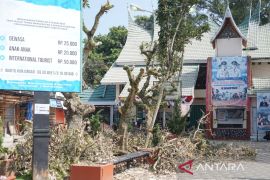 Pemkot Bukittinggi lalukan penataan TMSBK tingkatkan kualitas wisata dan fungsi ruang publik