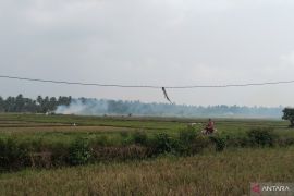 Padang Pariaman tingkatkan larangan pembakaran cegah perparah kabut asap
