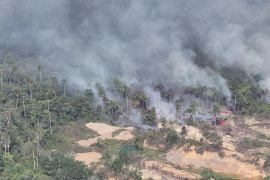 11 nyawa yatim piatu selamat tatkala kobaran melalap hutan