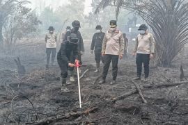 Polda Kalteng uji Hartindo AF31 untuk padamkan bara gambut