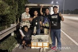 Polisi gagalkan penyelundupan 150 ribu benih bening lobster