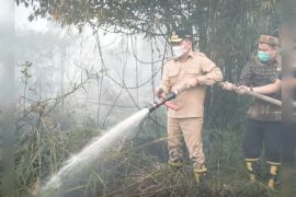 Gubernur Kalteng bantu langsung penanganan karhutla