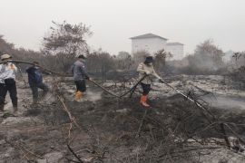 ASN Pemprov Kalteng berjibaku dukung penanganan karhutla