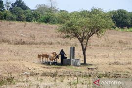 Satu kecamatan di Bima alami kekeringan ekstrem