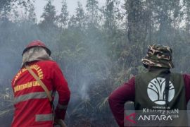 Tim gabungan padamkan karhutla di Cagar Alam Teluk Adang
