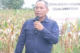 DP2KP Papua Selatan minta nelayan tidak tangkap ikan di perairan PNG