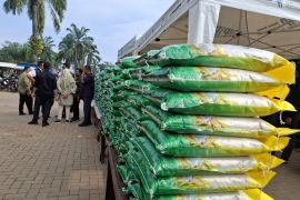 Realisasi penyaluran beras program SPHP Lampung capai 18.712 ton