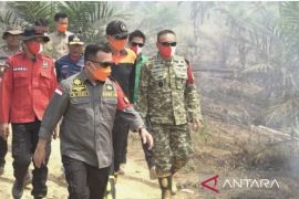 Jambi deploys two helicopters as forest park fires burn 6 hectares