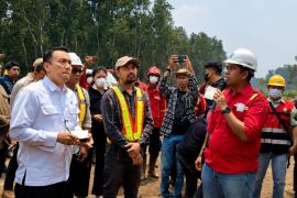 Wamen LH tinjau pembasahan gambut di Jambi di lahan PT WKS, dorong jadi percontohan atas karhutla