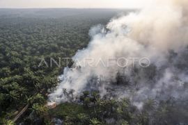 Indonesia disperses 8 tons of salt in Jambi cloud-seeding efforts
