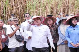 KSP: Petani tebu Register 44 Way Kanan Lampung bisa panen