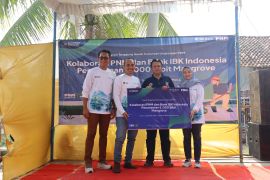 PNM dan Bank IBK tanam 5.000 mangrove di Lampung Timur