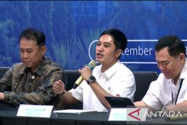 Govt ensured mental health and elderly daycare covered by BPJS
