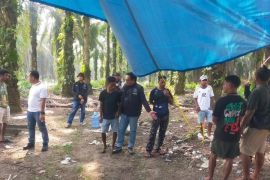 Warga minta polisi usut aktor intelektual penyerangan di kebun sawit Rohul