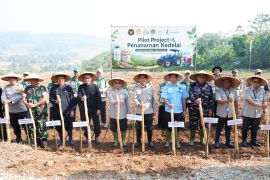 Kemenko Pangan mulai proyek percontohan kedelai di Cariu