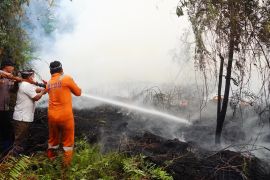 Padamkan karhutla, Gubernur Kaltara minta petugas utamakan keselamatan