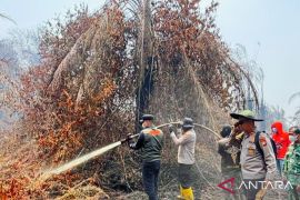 Bupati terjun langsung padamkan Karhutla di Sungai Guntung Hilir