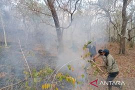 Karhutla awal September di TN Tambora berdampak sekitar 834 hektare