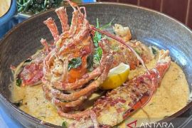 Pecinta seafood dapat menikmati American lobster di Surabaya